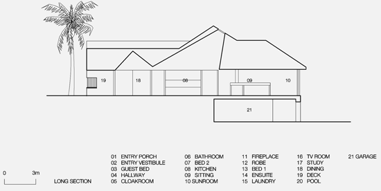 Longitudinal Section